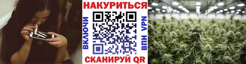 Виды наркоты Куровское ГАШ  Конопля  kraken ТОР  APVP  Мефедрон  Кокаин 