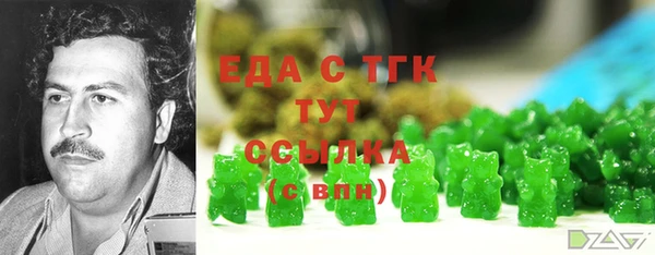 спайс Кулебаки