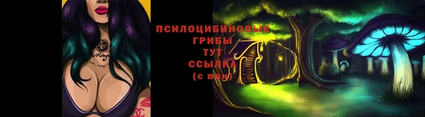 спайс Кулебаки