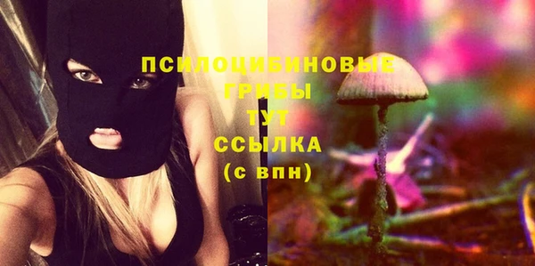 дурь Кукмор